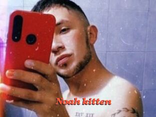 Noah_kitten