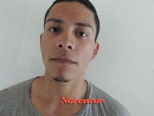 Noren_tor