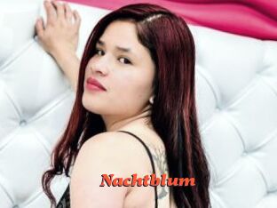 Nachtblum