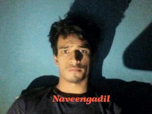 Naveengadil