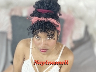 Nayinameli