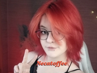 necatoffee Livespot