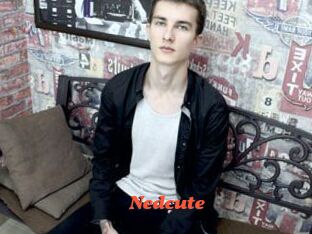 Nedcute
