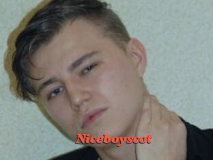 Niceboyscot