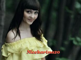 Nicekarina20