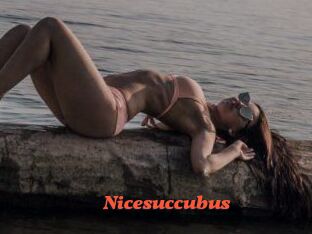 Nicesuccubus