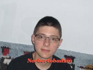 Norbertobadzso