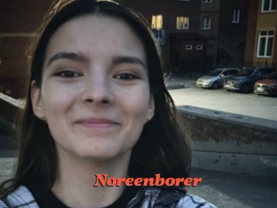 Noreenborer