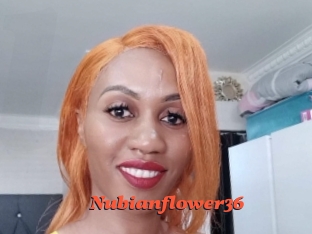 nubianflower36 Livespot