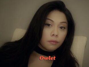_Owlet_
