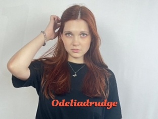 Odeliadrudge