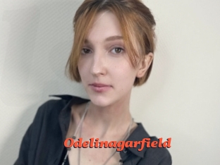 Odelinagarfield