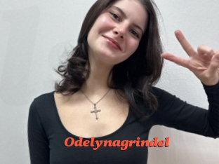 Odelynagrindel