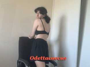 Odettacaecus