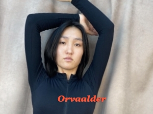 Orvaalder