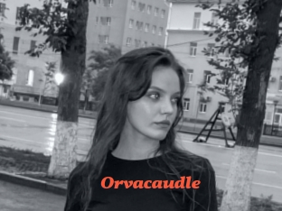 Orvacaudle