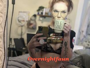 Overnightfaun