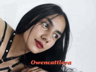 Owencattleya