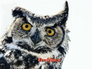 Owlface