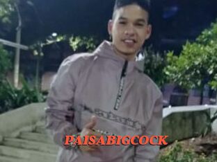 PAISABIGCOCK