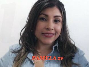 PAMELA_zv