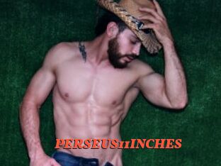 PERSEUS11INCHES