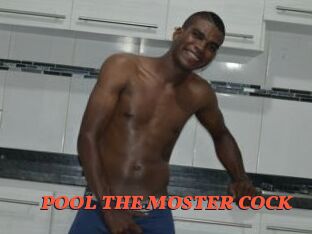 POOL_THE_MOSTER_COCK
