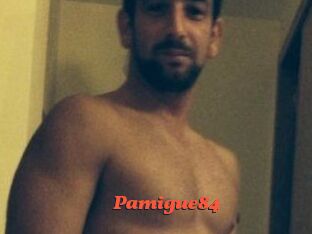 Pamigue84