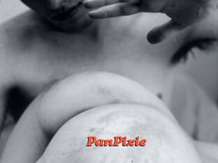 PanPixie