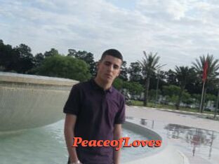 PeaceofLoves