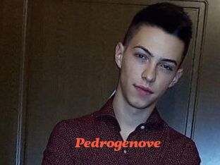 Pedrogenove