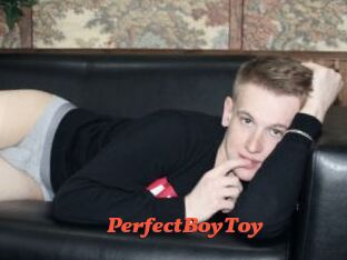 PerfectBoyToy