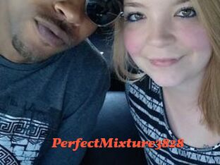 PerfectMixture3828