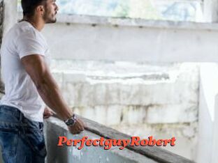 PerfectguyRobert