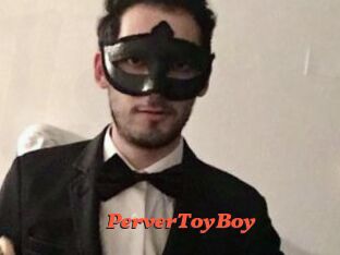 PerverToyBoy