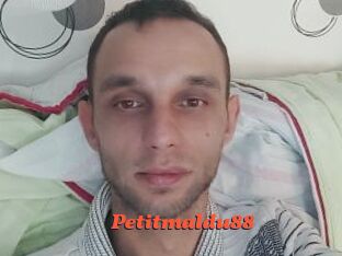 Petitmaldu88 Livespot