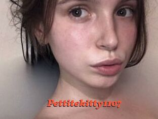 Pettitekitty1107
