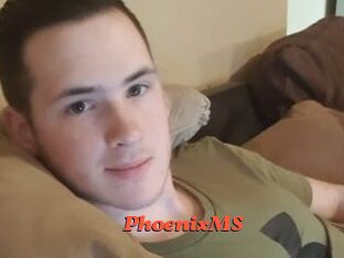 PhoenixMS