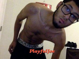PlayfulJoe