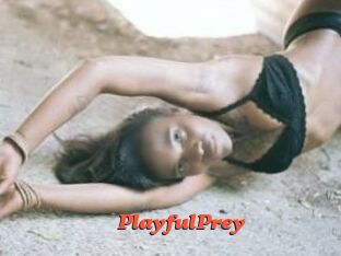 PlayfulPrey