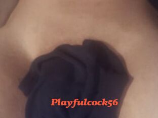Playfulcock56