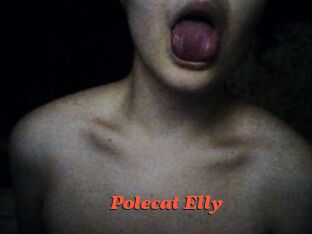 Polecat_Elly