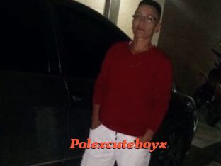 Polexcuteboyx