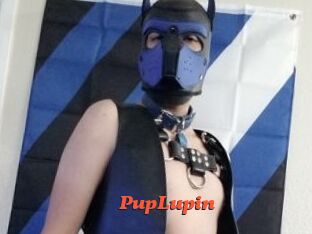 PupLupin Livespot