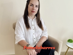 Pamelabarres