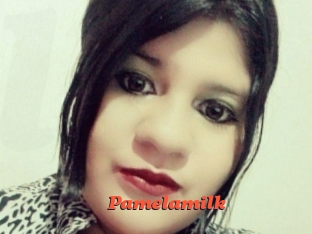 pamelasuite Livespot