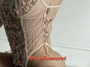 Pamelasecret
