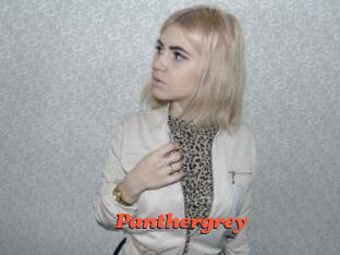 Panthergrey