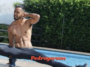 Pedrogarzon
