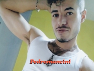pedromancini Livespot